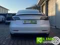 Tesla Model 3 Standard RWD Plus Bianco - thumbnail 6