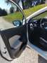 Nissan Micra Micra 2018 1.5 dci N-Connecta 90cv Bianco - thumbnail 9