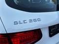 Mercedes-Benz GLC 250 GLC 250 4Matic Aut. Blanco - thumbnail 16