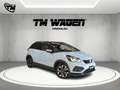 Honda Jazz Crosstar 1.5 hev Executive Bicolor ecvt Blu/Azzurro - thumbnail 3