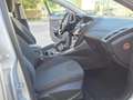 Ford Focus Focus 1.6 TDCi 95 CV Titanium Silber - thumbnail 18
