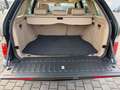 BMW X5 3.0d M-SPORTPAKET ! VOLL ! TÜV-NEU! TOP !!! Grün - thumbnail 13
