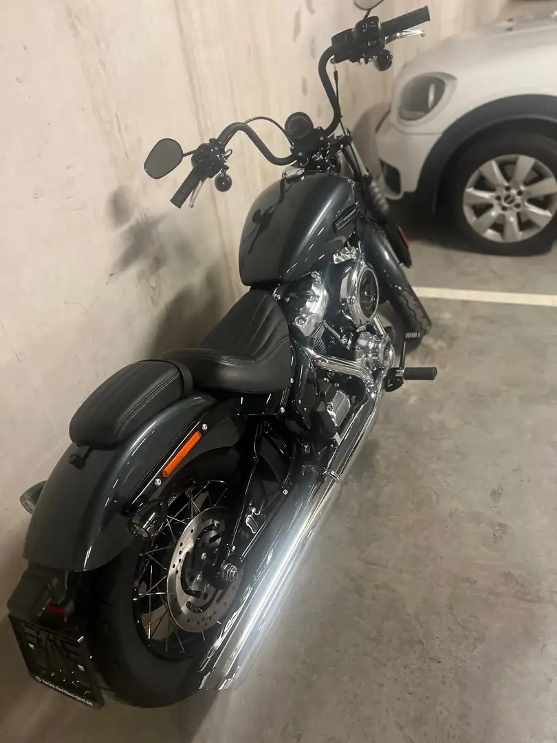 Harley-Davidson Street Bob NX925 Сірий - 1
