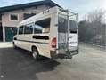 Mercedes-Benz Sprinter 313 CDI MAXI 9 Sitzer und 15 Sitzer Weiß - thumbnail 3
