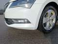 Skoda Superb Superb Combi 2.0 TDI Ambition Alb - thumbnail 16