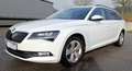Skoda Superb Superb Combi 2.0 TDI Ambition Alb - thumbnail 2