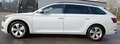 Skoda Superb Superb Combi 2.0 TDI Ambition Alb - thumbnail 3