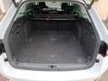 Skoda Superb Superb Combi 2.0 TDI Ambition Alb - thumbnail 10