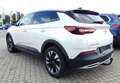 Opel Grandland X 2.0 D Business Innovat.Panorama 360° Weiß - thumbnail 8
