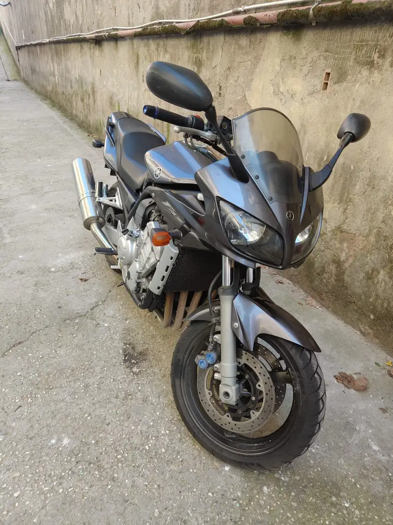 Yamaha FZS 1000 FZS 1000 Fazer Gris - 1