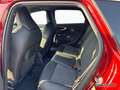 Audi A5 Avant TFSI S tr. AHK-LED-ACC-Kamera- Rot - thumbnail 16