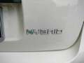 Fiat Panda PANDA HYBRID CITYLIFE SUPERPROMO ESTATE Bianco - thumbnail 15
