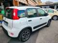 Fiat Panda PANDA HYBRID CITYLIFE SUPERPROMO ESTATE Bianco - thumbnail 4