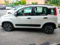 Fiat Panda PANDA HYBRID CITYLIFE SUPERPROMO ESTATE Bianco - thumbnail 5
