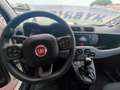 Fiat Panda PANDA HYBRID CITYLIFE SUPERPROMO ESTATE Bianco - thumbnail 13
