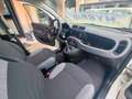 Fiat Panda PANDA HYBRID CITYLIFE SUPERPROMO ESTATE Bianco - thumbnail 9