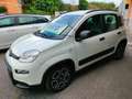 Fiat Panda PANDA HYBRID CITYLIFE SUPERPROMO ESTATE Bianco - thumbnail 2