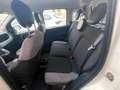 Fiat Panda PANDA HYBRID CITYLIFE SUPERPROMO ESTATE Bianco - thumbnail 7