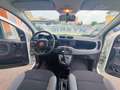Fiat Panda PANDA HYBRID CITYLIFE SUPERPROMO ESTATE Bianco - thumbnail 10