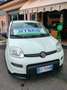 Fiat Panda PANDA HYBRID CITYLIFE SUPERPROMO ESTATE Bianco - thumbnail 1