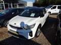 Kia Stonic Edition 7 Weiß - thumbnail 3
