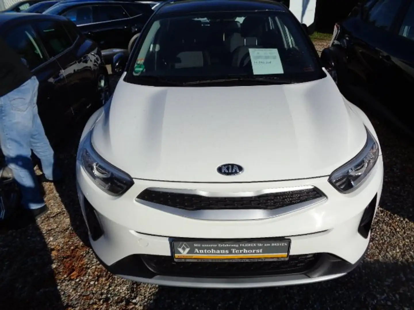Kia Stonic Edition 7 Weiß - 1