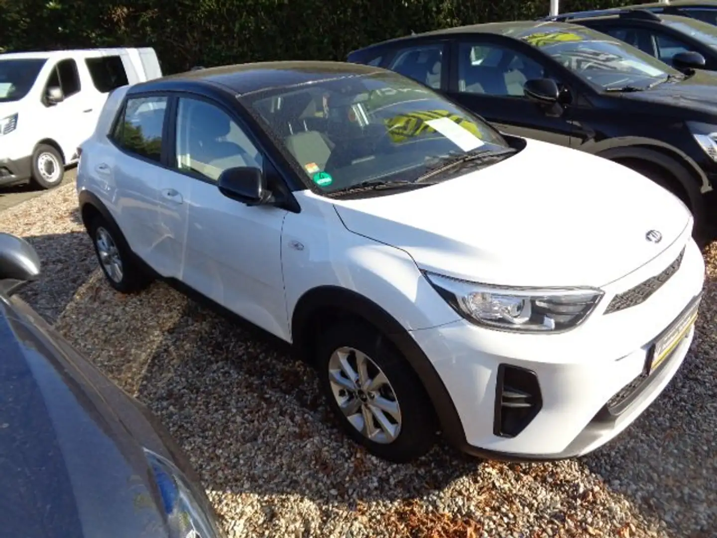 Kia Stonic Edition 7 Weiß - 2