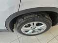 BMW X1 X1 sdrive18d Business auto NAVI SENSORI Argento - thumbnail 13
