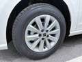 SEAT Ibiza Reference 1.0 TSI 95PS Weiß - thumbnail 9