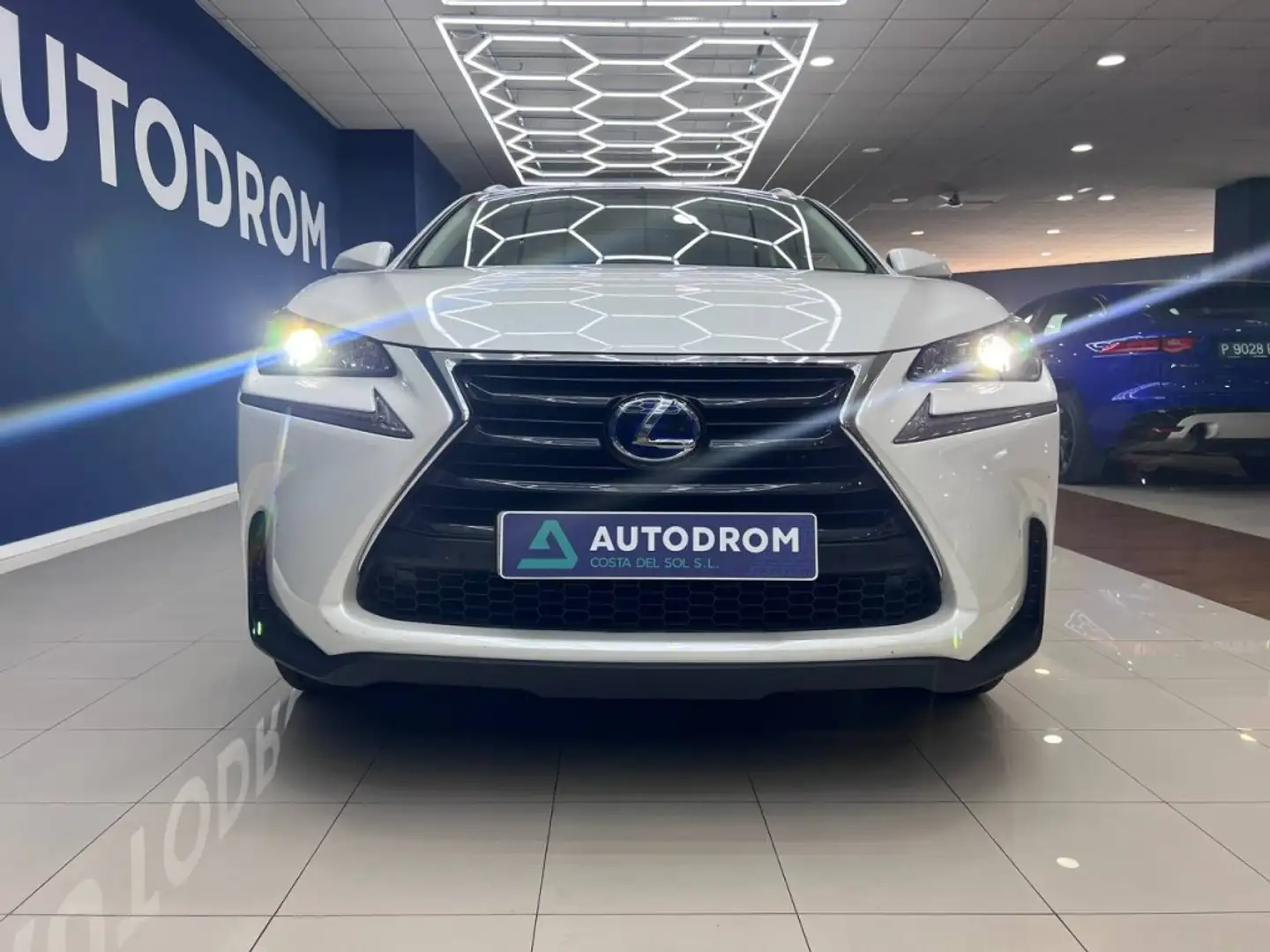 Lexus NX 300 300h Executive 4WD Biały - 2