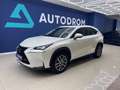Lexus NX 300 300h Executive 4WD Biały - thumbnail 1