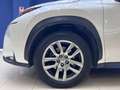Lexus NX 300 300h Executive 4WD Biały - thumbnail 8