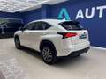 Lexus NX 300 300h Executive 4WD Biały - thumbnail 6