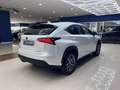 Lexus NX 300 300h Executive 4WD Biały - thumbnail 4
