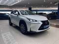 Lexus NX 300 300h Executive 4WD Biały - thumbnail 3