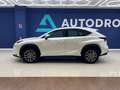 Lexus NX 300 300h Executive 4WD Biały - thumbnail 7