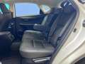 Lexus NX 300 300h Executive 4WD Biały - thumbnail 13