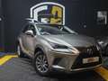 Lexus NX 300 300h Business 2WD Gris - thumbnail 3