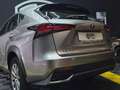 Lexus NX 300 300h Business 2WD Gris - thumbnail 14