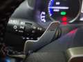 Lexus NX 300 300h Business 2WD Gris - thumbnail 31