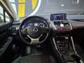 Lexus NX 300 300h Business 2WD Gris - thumbnail 8