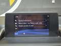 Lexus NX 300 300h Business 2WD Gris - thumbnail 44
