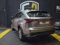 Lexus NX 300 300h Business 2WD Gris - thumbnail 4