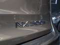 Lexus NX 300 300h Business 2WD Gris - thumbnail 16