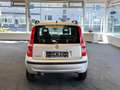 Fiat Panda 1.1 8V Active *KLIMA* Silber - thumbnail 6