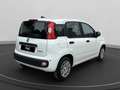 Fiat Panda 1.0 firefly hybrid s&s 70cv 5p.ti Bianco - thumbnail 2