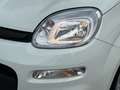 Fiat Panda 1.0 firefly hybrid s&s 70cv 5p.ti Bianco - thumbnail 7
