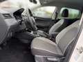 SEAT Ibiza 1.0 TSI Style AC SHZ Kamera PDC 1.Hand Blanc - thumbnail 10