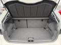 SEAT Ibiza 1.0 TSI Style AC SHZ Kamera PDC 1.Hand Blanc - thumbnail 9