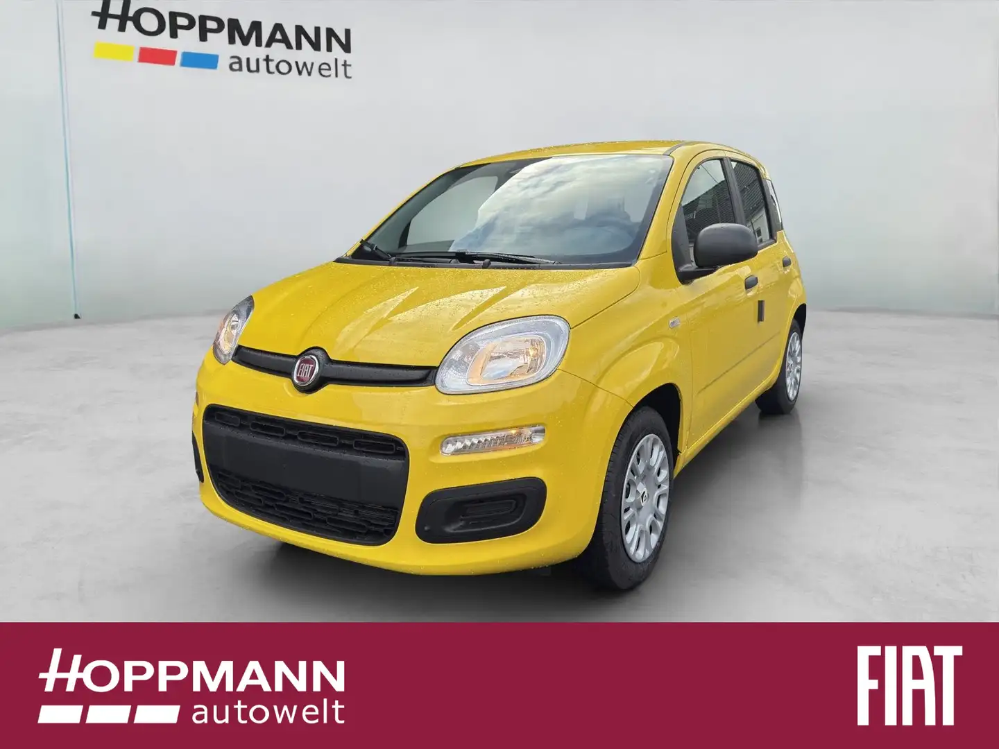 Fiat Panda 1.0 Mild Hybrid Pandina Pop Gelb - 1